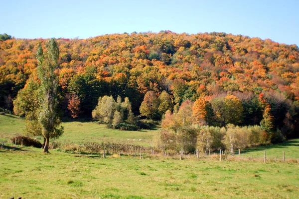 Schöne Herbstlandschaft Bromont Kanada — Stockfoto