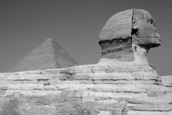 Каиро Египт Великий Сфинкс Гизы Статуя Прячущегося Сфинкса Мифическое Творение — стоковое фото
