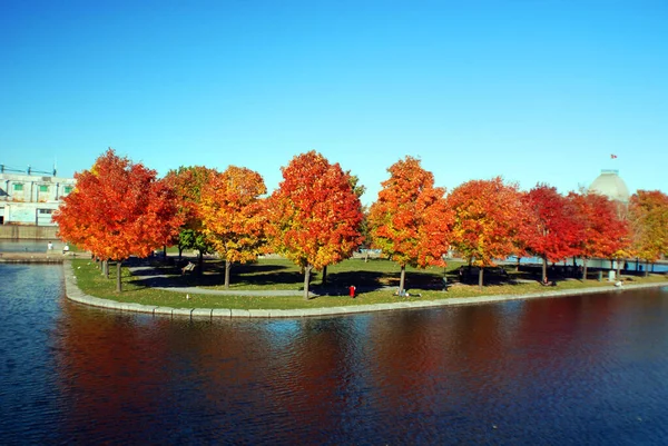 Montréal Québec Canada 2010 Paysage Automnal Parc Jean Drapeau Avec — Photo