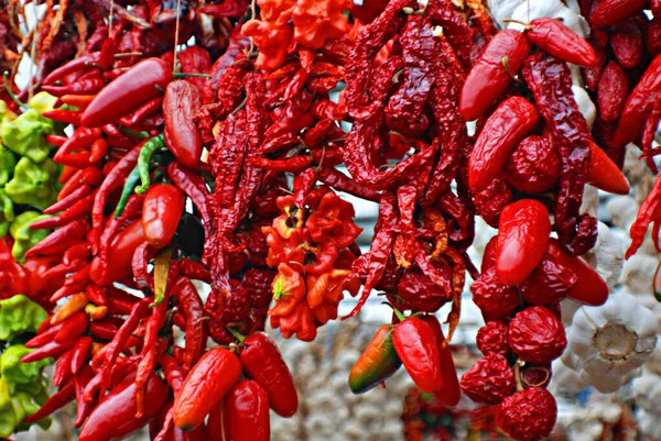 Dry Peppers Pimientos Choriceros Dry Hot Guindilla Peppers Piparras Basque — Stock Photo, Image