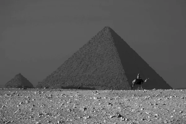 クフのピラミッドまたはチョップのピラミッドとしても知られているギザの大ピラミッドは 現在のエジプトのエル ギザに隣接するギザのピラミッド複合体内の3つのピラミッドの中で最も古く最大のものです — ストック写真