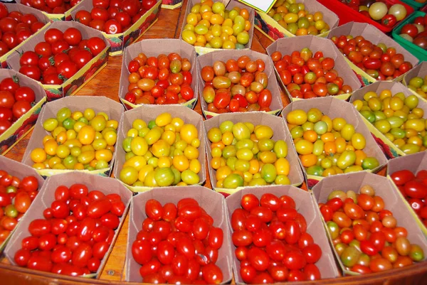 캐나다 퀘벡주 몬트리올의 농부들에게 전시되어 담비같은 토마토 — 스톡 사진