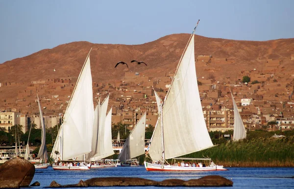 Aswan Egypt Felucca Πλέει Στον Ποταμό Νείλο Κοντά Στο Ασουάν — Φωτογραφία Αρχείου
