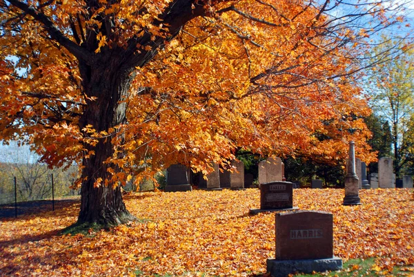 Montreal Canada Oktober 2015 Graven Het Kerkhof Notre Dame Des — Stockfoto