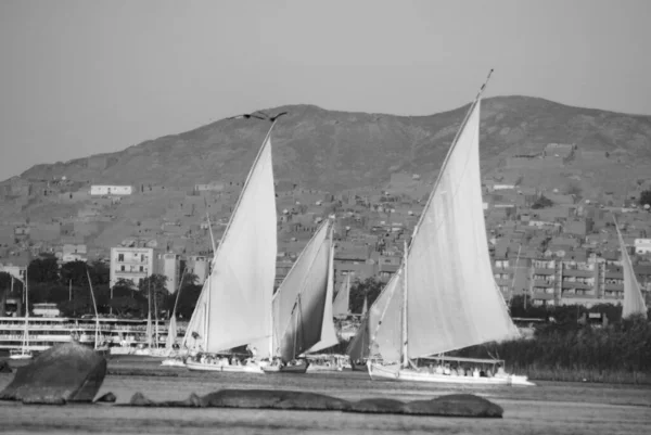 Aswan Egitto Felucca Naviga Sul Fiume Nilo Nei Pressi Assuan — Foto Stock