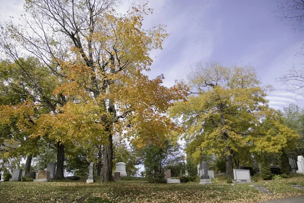 Montreal Canada October 2011 Monument Notre Dame Des Neiges Cemetery — 图库照片