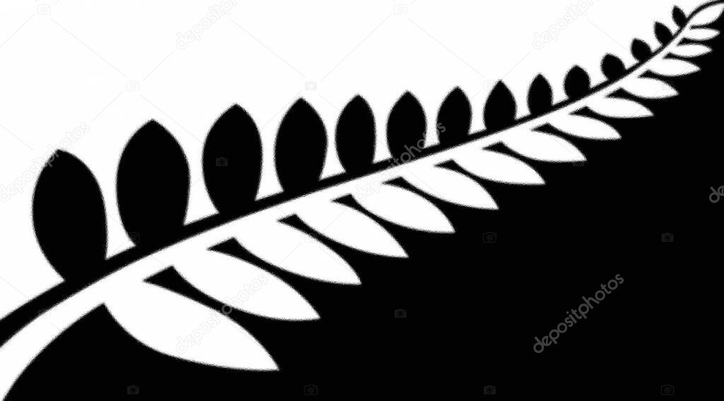 Black and white fern