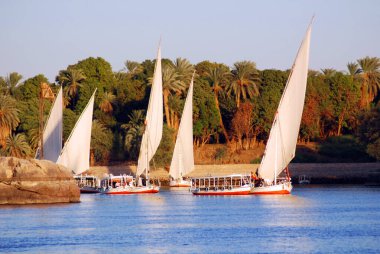 ASWAN EGYPT - 125 08: Felucca, Aswan, Mısır yakınlarındaki Nil nehri üzerinde yelken açıyor. Bugün görülen dostlar MÖ 3350 yılında icat edildi.