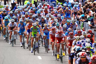 MONTREAL, CanADA - Eylül 09: 2012 UCI bisiklet takviminde faaliyet gösteren bir grup bisikletçi. 2012 Grand Prix Bisiklet Listesi de Montreal, 9 Eylül 2012 Montreal, Mount Royal tırmanışı