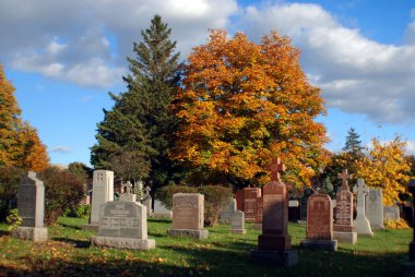 MONTREAL CANADA - 11 Ekim 2015: Renkli sonbahar ağaçlı Notre-Dame-des-Neiges Mezarlığı. Kanada 'daki en büyük mezarlık ve Kuzey Amerika' daki en büyük üçüncü mezarlık.   