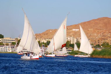 ASWAN EGYPT - 125 08: Felucca, Aswan, Mısır yakınlarındaki Nil nehri üzerinde yelken açıyor. Bugün görülen dostlar MÖ 3350 yılında icat edildi.