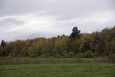 Montreal 'den Jean Drapeau Parc