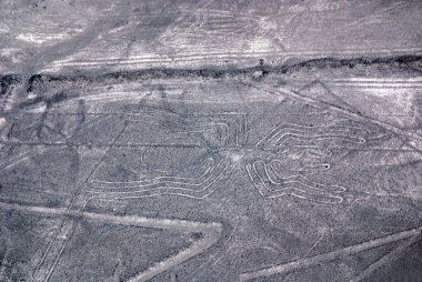 Nazca Çizgileri, Güney Peru 'daki Nazca Çölü' nde bulunan antik geoglifler serisidir. 1994 yılında UNESCO Dünya Mirasları Listesi olarak belirlendi. Yüksek, kurak plato Nazca kasabaları arasında 80 kilometreden fazla (50 metre) uzanır. 