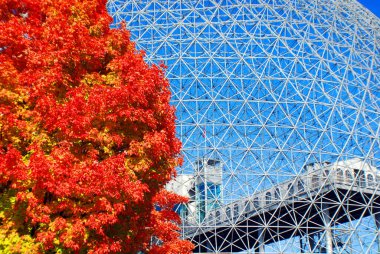 MONTREAL, CANADA - OCT. 03 2014: Biyosfer, Montreal 'de sonbaharda çevreye adanmış bir müzedir. Parc Jean-Drapeau 'da, ABD' nin eski pavyonunda yer almaktadır.