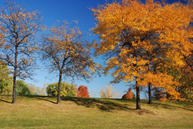 Kanada 'daki Jean Drapeau sonbahar parkı