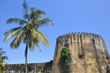 Eski Kale (Swahili: Ngome Kongwe), diğer adıyla Arap Kalesi, Zanzibar 'ın başkenti Stone Town' da bulunan bir kaledir..