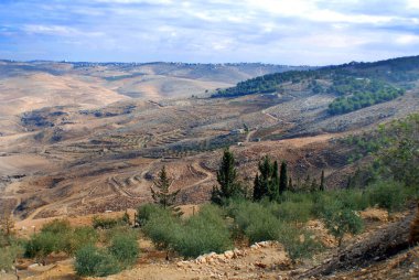 Beautiful desert landscape in Jordan