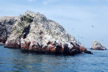 Ballestas Adaları, Peru 'nun güney kıyısında, Pisco Bölgesi' nin Paracas ilçesi içinde yer alan bir grup küçük adadır.. 