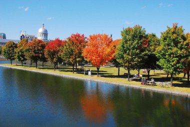 MONTREAL, QUEBEC, CANADA - 10 2010: Arka planda eski Montreal ile Parc Jean Drapeau 'dan sonbahar manzarası