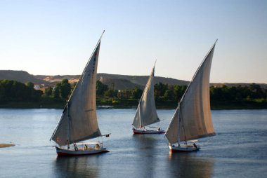 ASWAN EGYPT - 125 08: Felucca, Aswan, Mısır yakınlarındaki Nil nehri üzerinde yelken açıyor. Bugün görülen dostlar MÖ 3350 yılında icat edildi. 