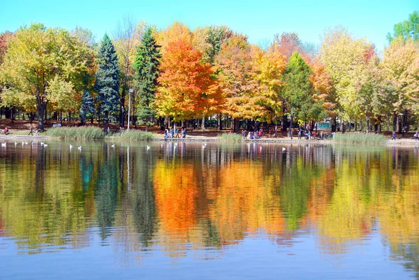 Осенний Пейзаж Монреаль Провинция Квебек Канада — стоковое фото