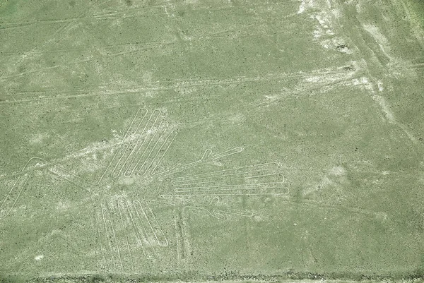 Линии Наска Серия Древних Геоглифов Расположенных Пустыне Наска Юге Перу — стоковое фото