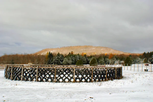 Снежный Зимний Пейзаж Бромонте — стоковое фото