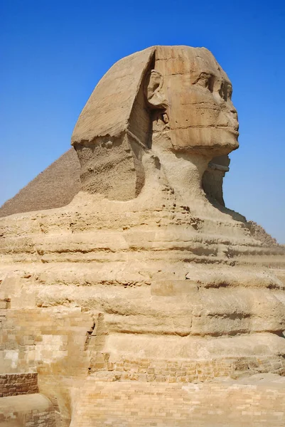 Égypte Cairo 2010 Grand Sphinx Gizeh Sphinx Gizeh Est Une — Photo