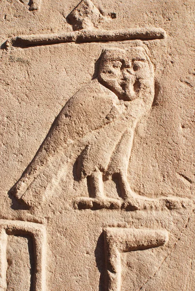 古代エジプトの神殿の壁に描かれた象形彫刻 象形文字 動物や物 人物などの図形を用いて言葉を表現したロゴグラフです — ストック写真