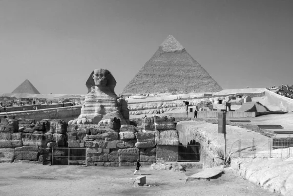 Cairo Egypt 2010 Great Sphinx Giza Sphinx Giza Limestone Statue — Stock Photo, Image