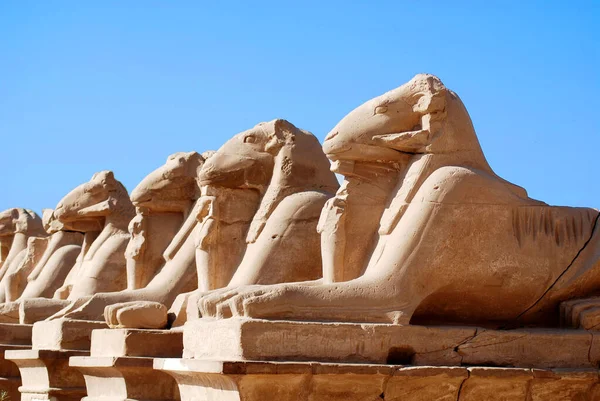 Rainha Egípcia Hatshepsut Faraó Feminino Seu Templo Mortuário Deir Bahri — Fotografia de Stock