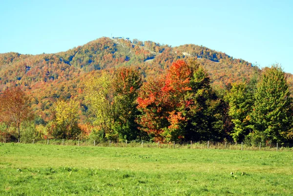 カラフルな木々が美しい秋の風景 — ストック写真