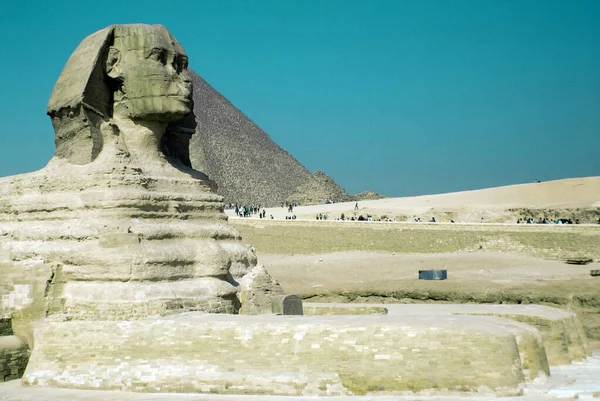 Cairo Egypt 2010 기자의 스핑크스 Great Sphinx Giza 기자의 스핑크스 — 스톡 사진