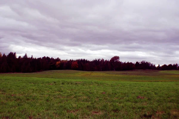 Otoño Estación Árboles Otoño Campo Paisaje Campo Cielo Nublado Gris —  Fotos de Stock