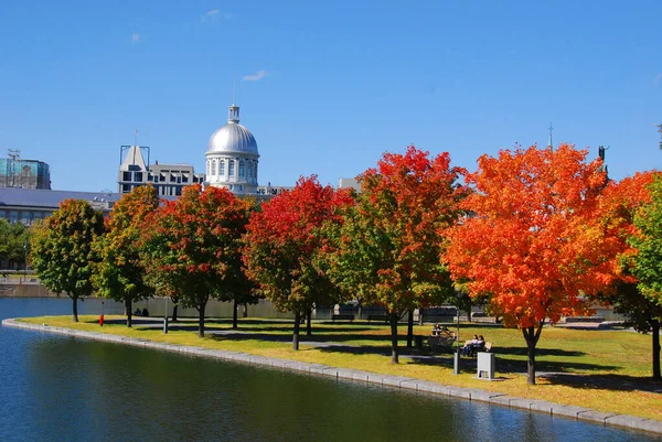 Montréal Québec Canada 2010 Paysage Automnal Parc Jean Drapeau Avec — Photo