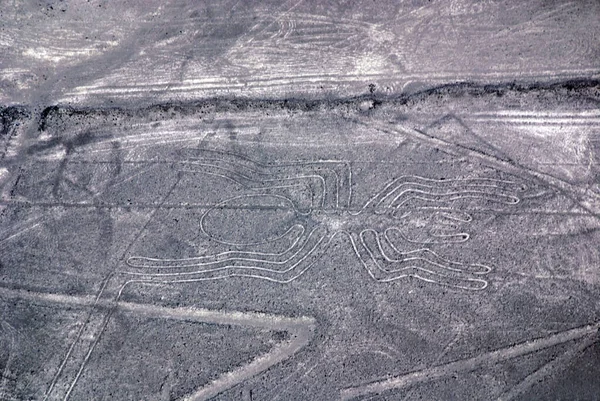 Nazca Linie Jsou Série Starověkých Geoglyfů Nachází Poušti Nazca Jižním — Stock fotografie