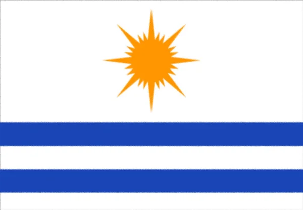 Palmas Bayrağı Tocantins Brezilya Vektör Biçimi — Stok fotoğraf
