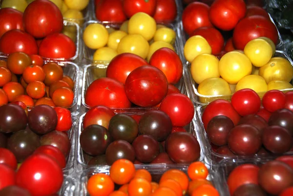 Sort Syditalienska Tomater Pachino Ciliegino San Marzano Producerad Kampanien Italien — Stockfoto
