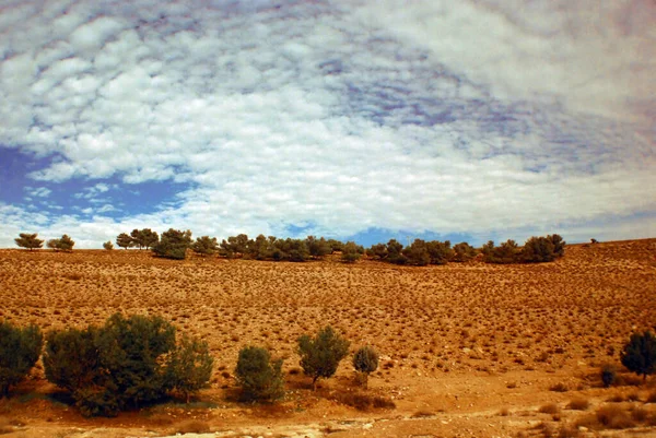 Piękny Pustynny Krajobraz Bliskim Wschodzie — Zdjęcie stockowe