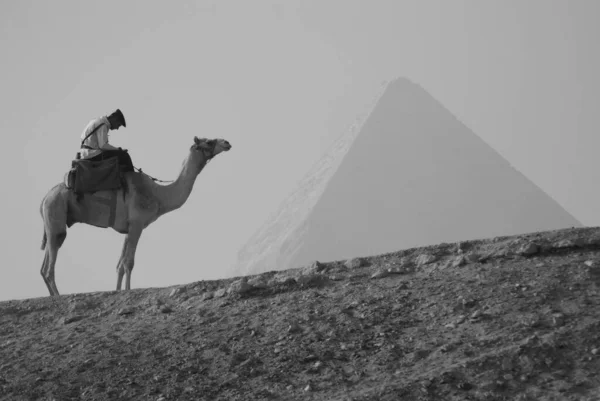 Giza Egipto Policía Turística Uniforme Patrulla Gran Pirámide Giza Kufu — Foto de Stock