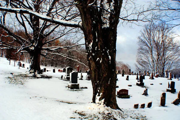 Montreal Canada 2021 Natale Monumento Nel Cimitero Notre Dame Des — Foto Stock