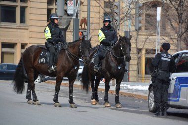 MONTREAL QUEBEC CANADA 03 24 2020: Montreal atlı devriye memurları at birimleriyle ilgili polis operasyonlarında uzmandır. Covid-19 salgınında görevliyim.