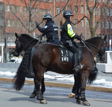 MONTREAL QUEBEC CANADA 03 24 2020: Montreal atlı devriye memurları at birimleriyle ilgili polis operasyonlarında uzmandır. Covid-19 salgınında görevliyim.