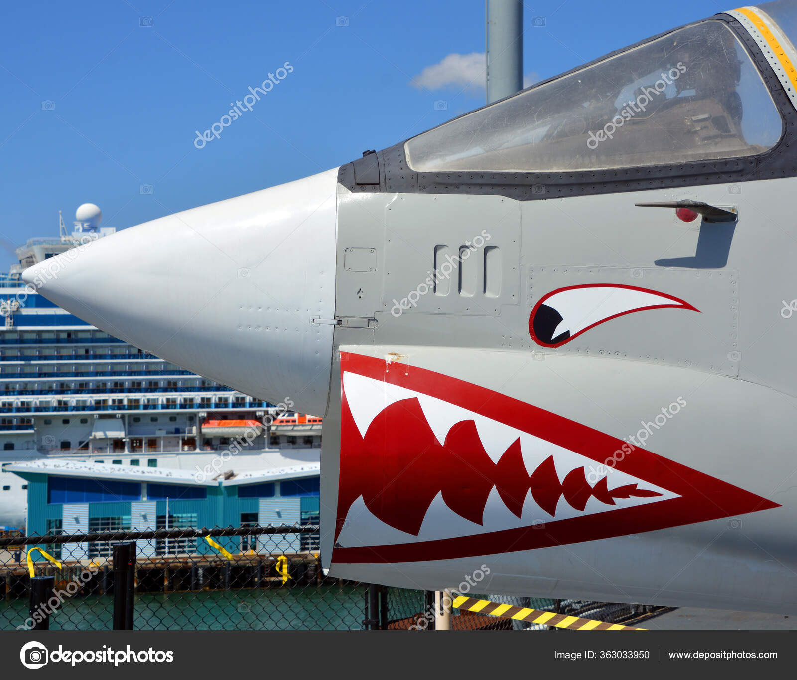 Shark Teeth Nose Art