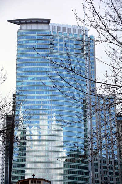 Montreal Quebec Canada 2020 Downtown Montreal Και Ουρανοξύστες Giants 1250 — Φωτογραφία Αρχείου