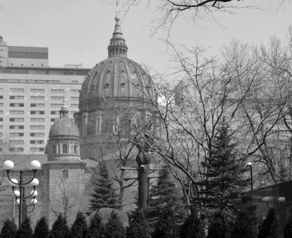 Montreal Quebec Canada 2020 Cúpula Catedral Basílica María Reina Del — Foto de Stock