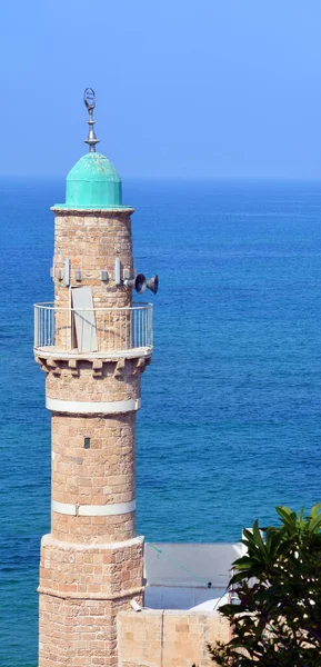 Jaffa Israel 2016 Bahr Mosque Masjid Bahr Meaning All Languages — Stock Photo, Image