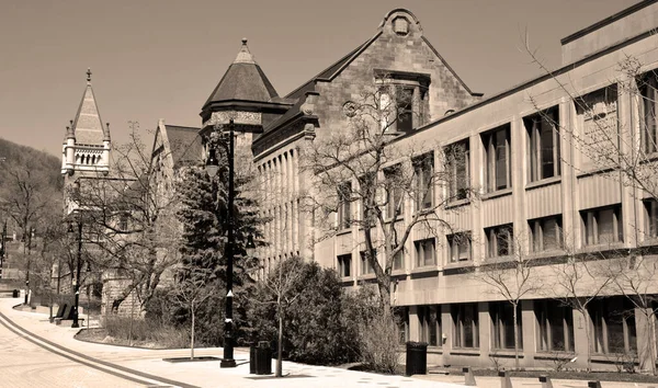 Montreal Quebec Canada 2020 Anda Mcgill Üniversitesi Kütüphanesi Nin Büyük — Stok fotoğraf