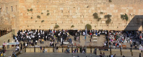 Jerusalem Israel Jewish Hasidic Pray Western Wall Wailing Wall Place — Stock Photo, Image