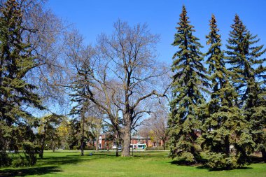 MONTREAL CANADA - 05: 12 2020: Mount Royal, Ville Mont Royal kasabasının tipik konağı